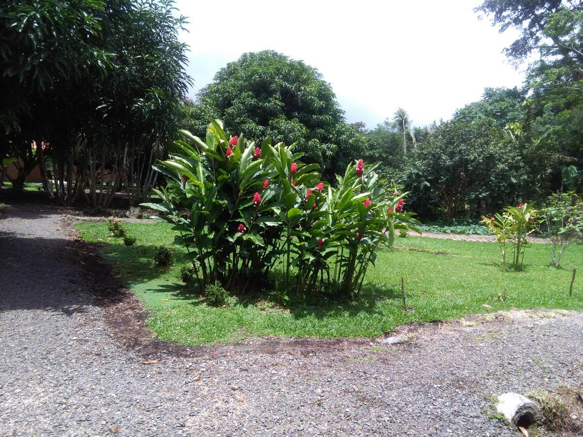 Paraiso Volcano Lodge Guayabo  Luaran gambar