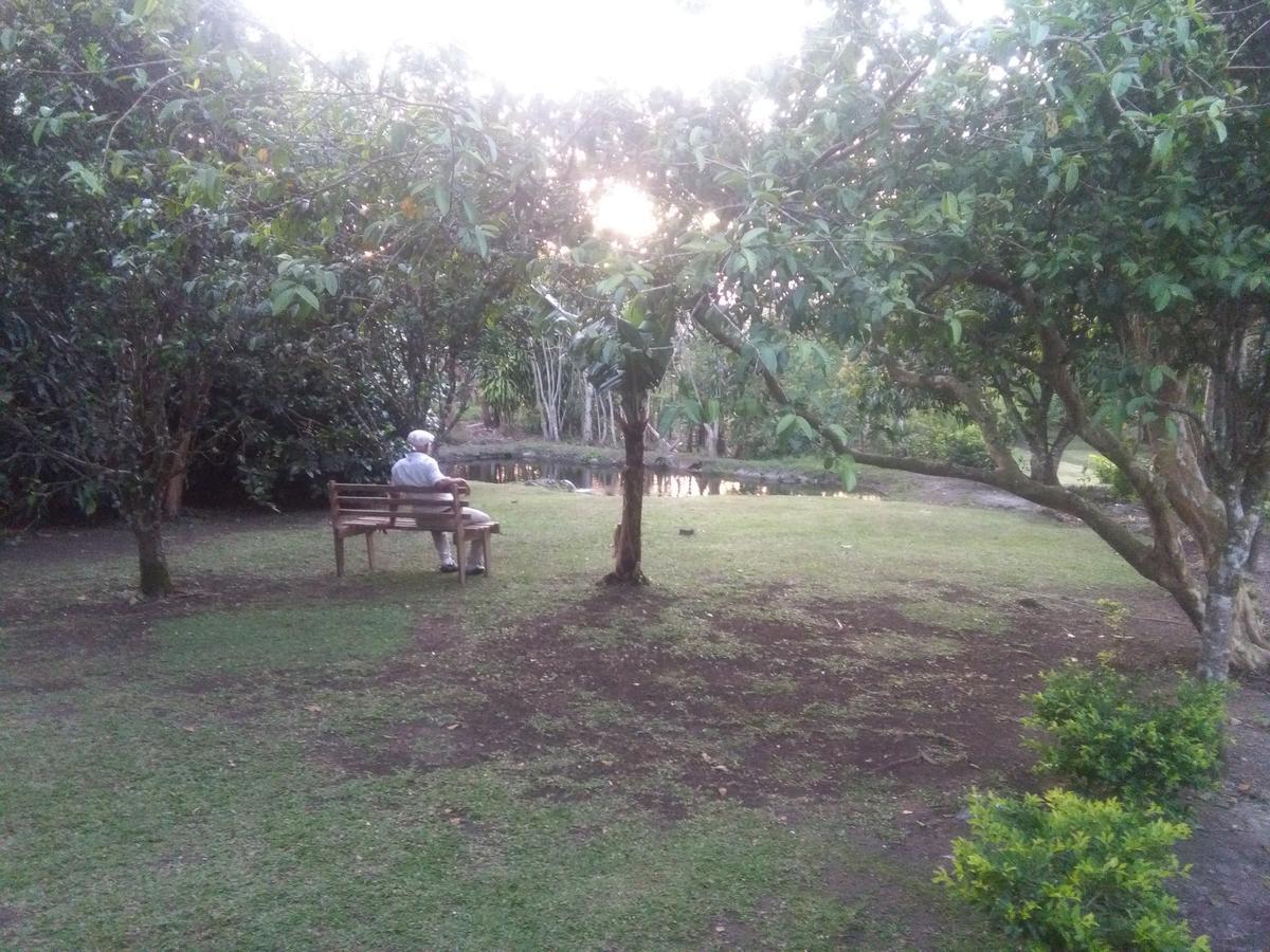 Paraiso Volcano Lodge Guayabo  Luaran gambar