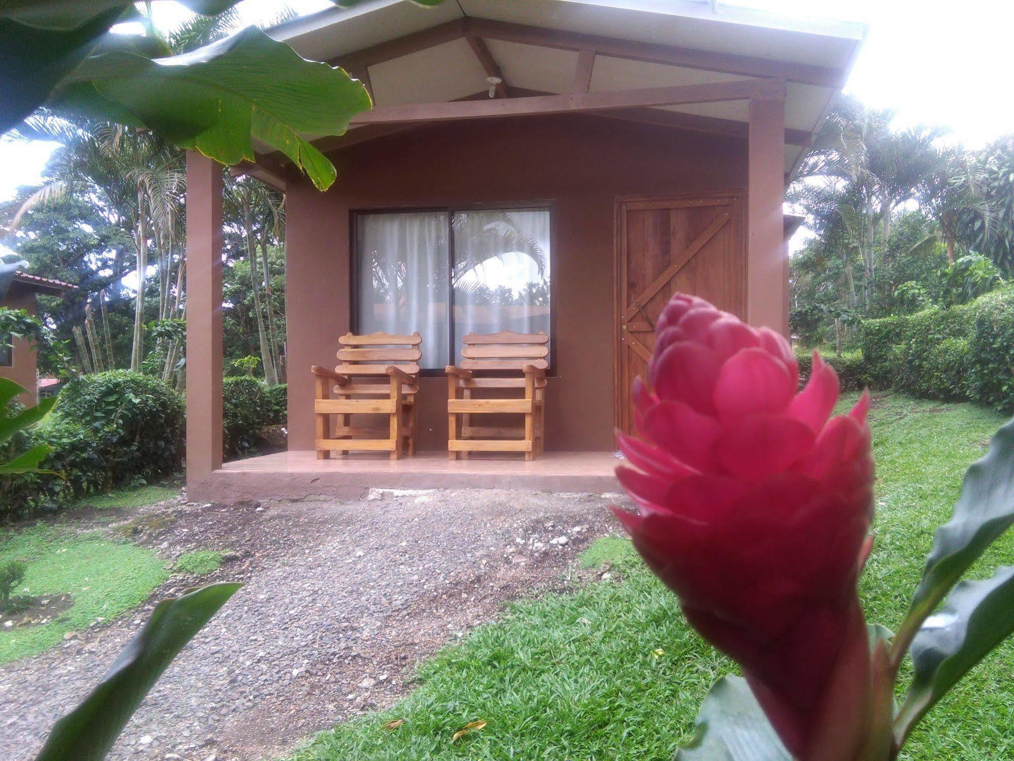 Paraiso Volcano Lodge Guayabo  Luaran gambar